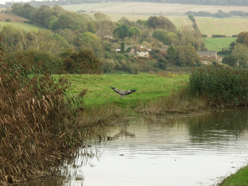 The Cuckmere River and Litlington, Sussex, England, Great Britain