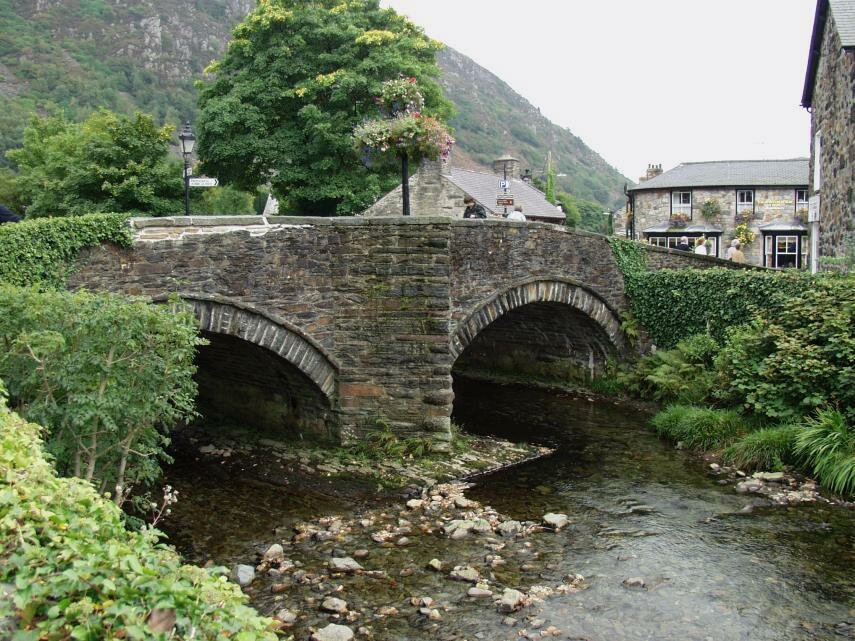 Photos - Ivy growing on a bridge