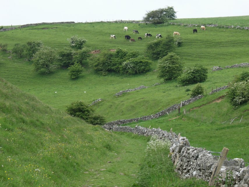 Biggin Dale, Hartington, Derbyshire, England, Great Britain