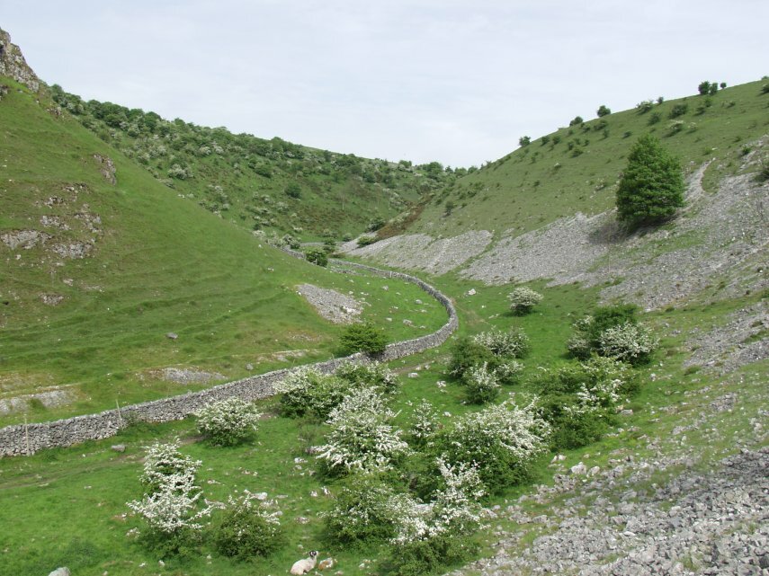 Limestone Scree, Biggin Dale, Derbyshire, England, Great Britain