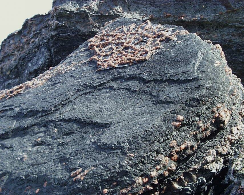 Photograph of Gypsum in late Triassic sediments, Blue Anchor, Somerset, England