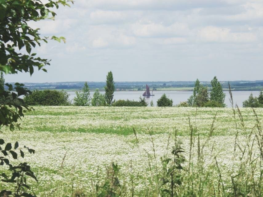 Photograph of the River Blackwater near its estuary, Bradwell-on-Sea, England