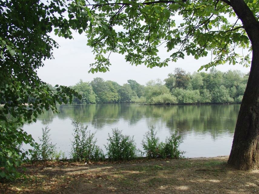 View of Connaught Water, Epping Forest, Essex, England, Great Britain