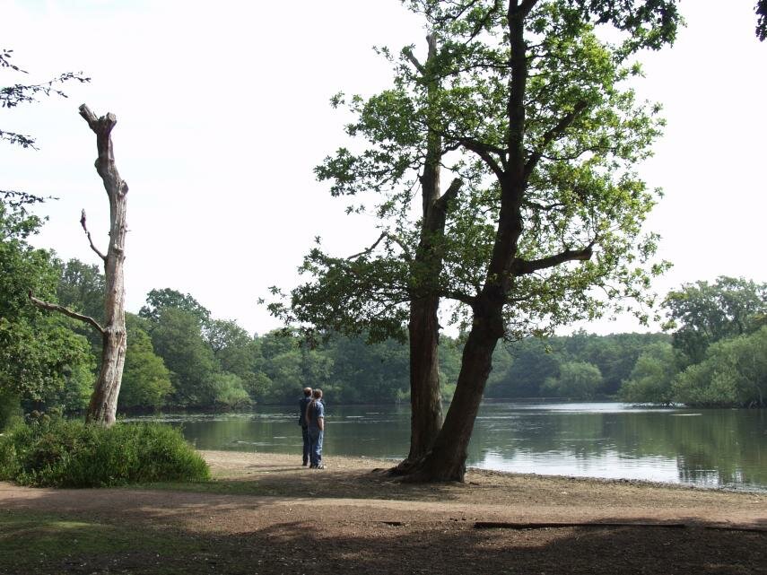 Connaught Water (2), Epping Forest, Essex, England, Great Britain