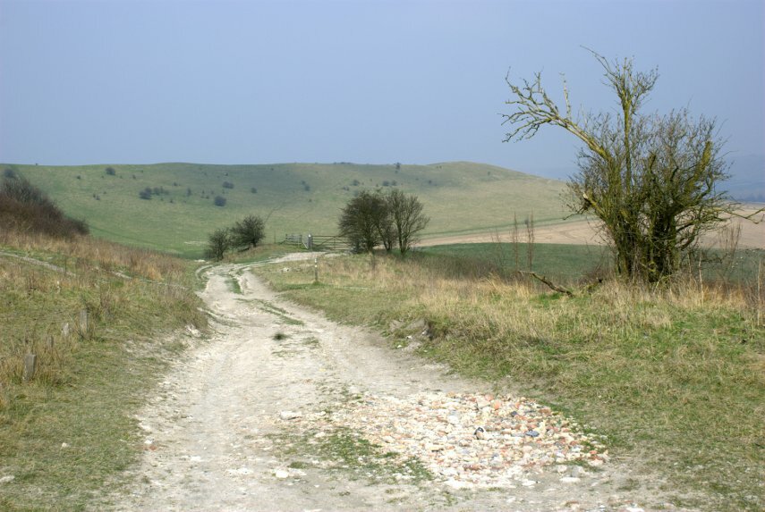 Photgraph of the Ivinghoe Beacon ridge