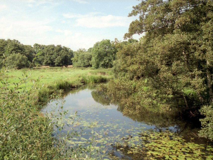 The Lymington River, New Forest, Hampshire, England, Great Britain
