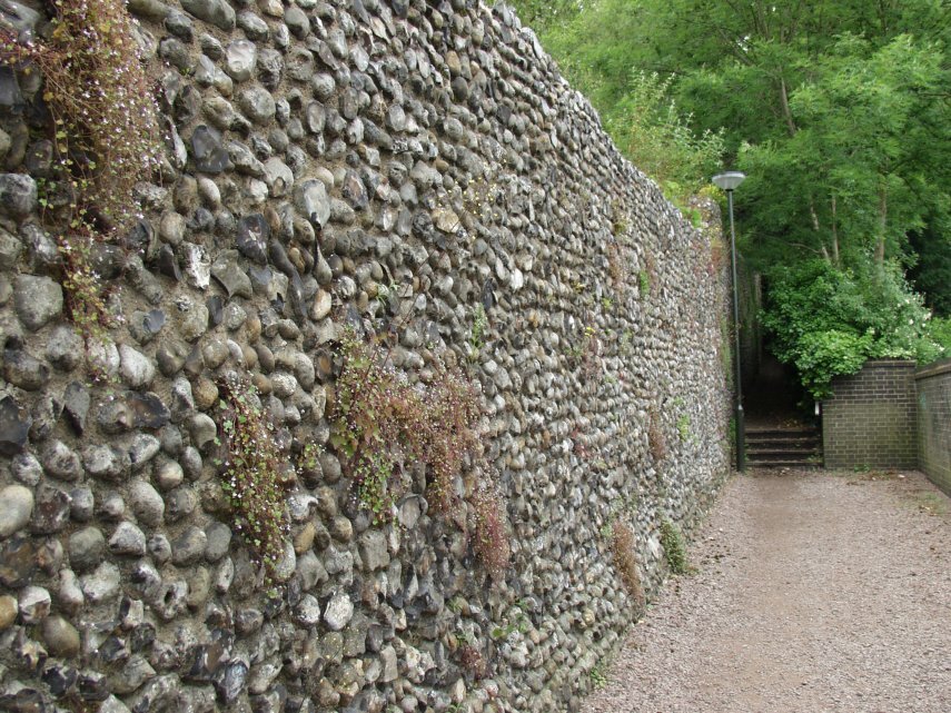 The Medieval Wall, Carrow Hill, Norwich, Norfolk, England, Great Britain