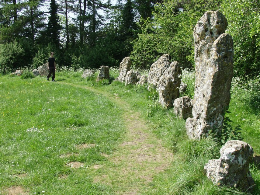 Some of the stones in the Kings Men Stone Circle, Oxfordshire, England, Great Britain