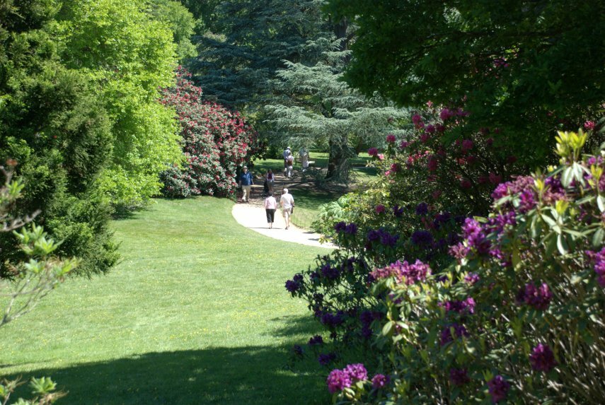 Sheffield Park Gardens, Sheffield Park, Sussex, England