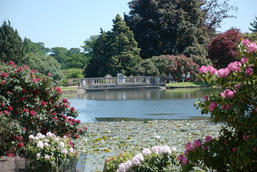 The Bridge over the Grand Cascade, Sheffield Park Gardens, Sheffield Park, Sussex, England, Great Britain