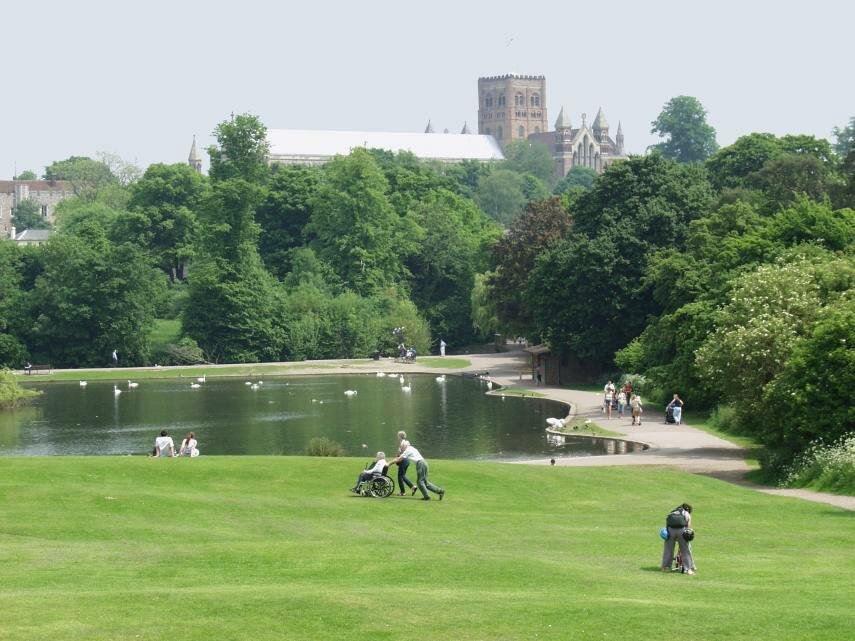 View of Verulamium Park lake, St. Albans, Hertfordshire, England, Great Britain