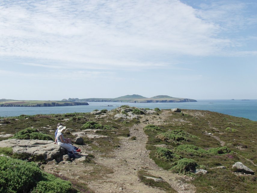 On a small headland, Porthmelgan Bay, St. David's, Pembrokeshire, Wales, Great Britain