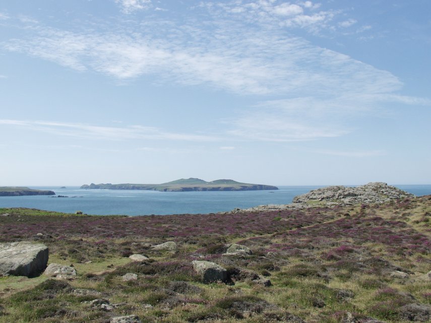 St. David's Head, St. David's, Pembrokeshire, Wales, Great Britain