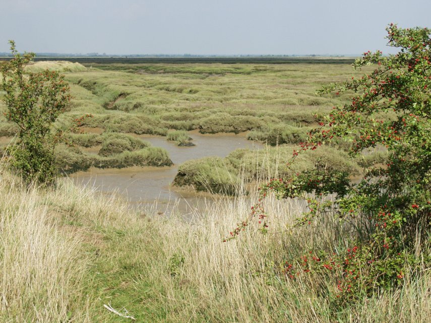 The Essex Marshes, Tollesbury, Essex, England