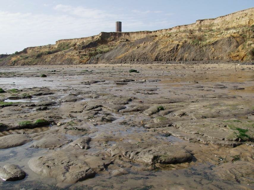 Photograph of the London Clay under the Red Crag, Walton-on-the-Naze, Essex, England