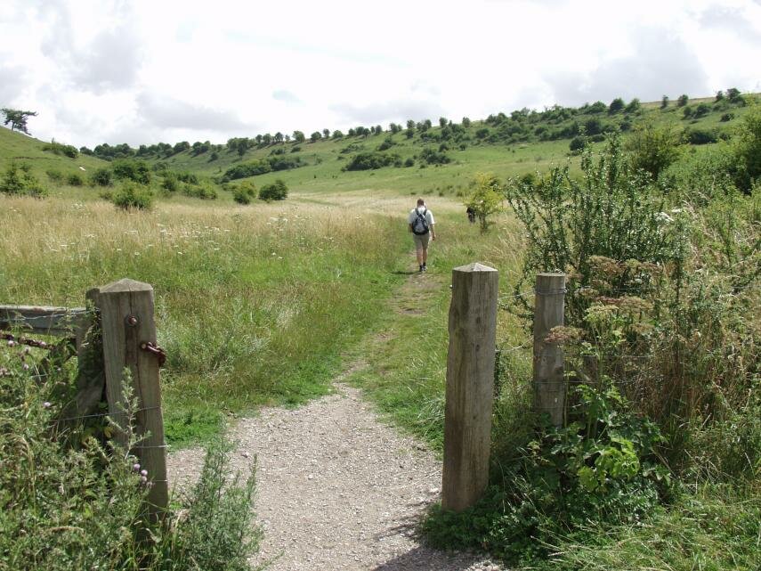 View on St. Catherine's Hill, Winchester, Hampshire, England - Countryside